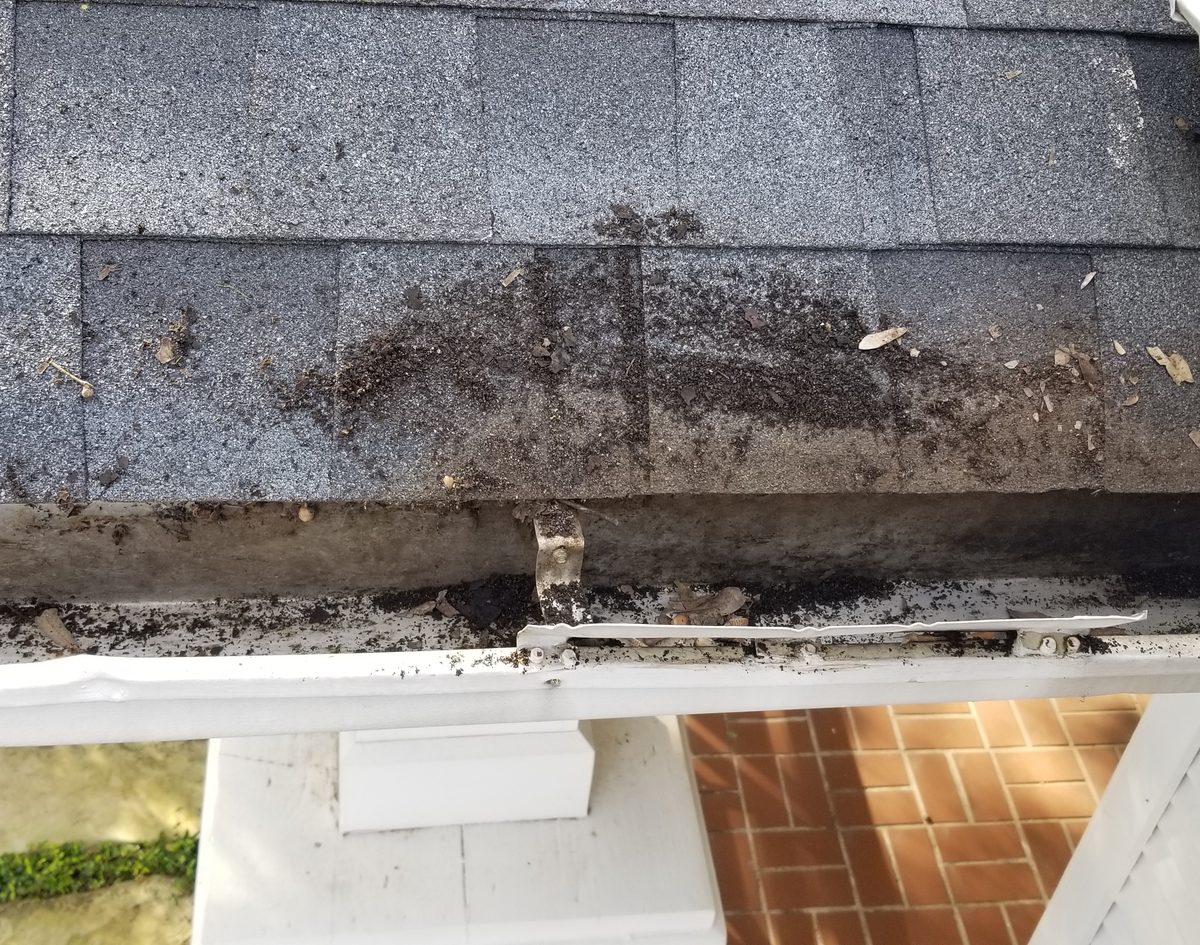 The same gutter after clearing