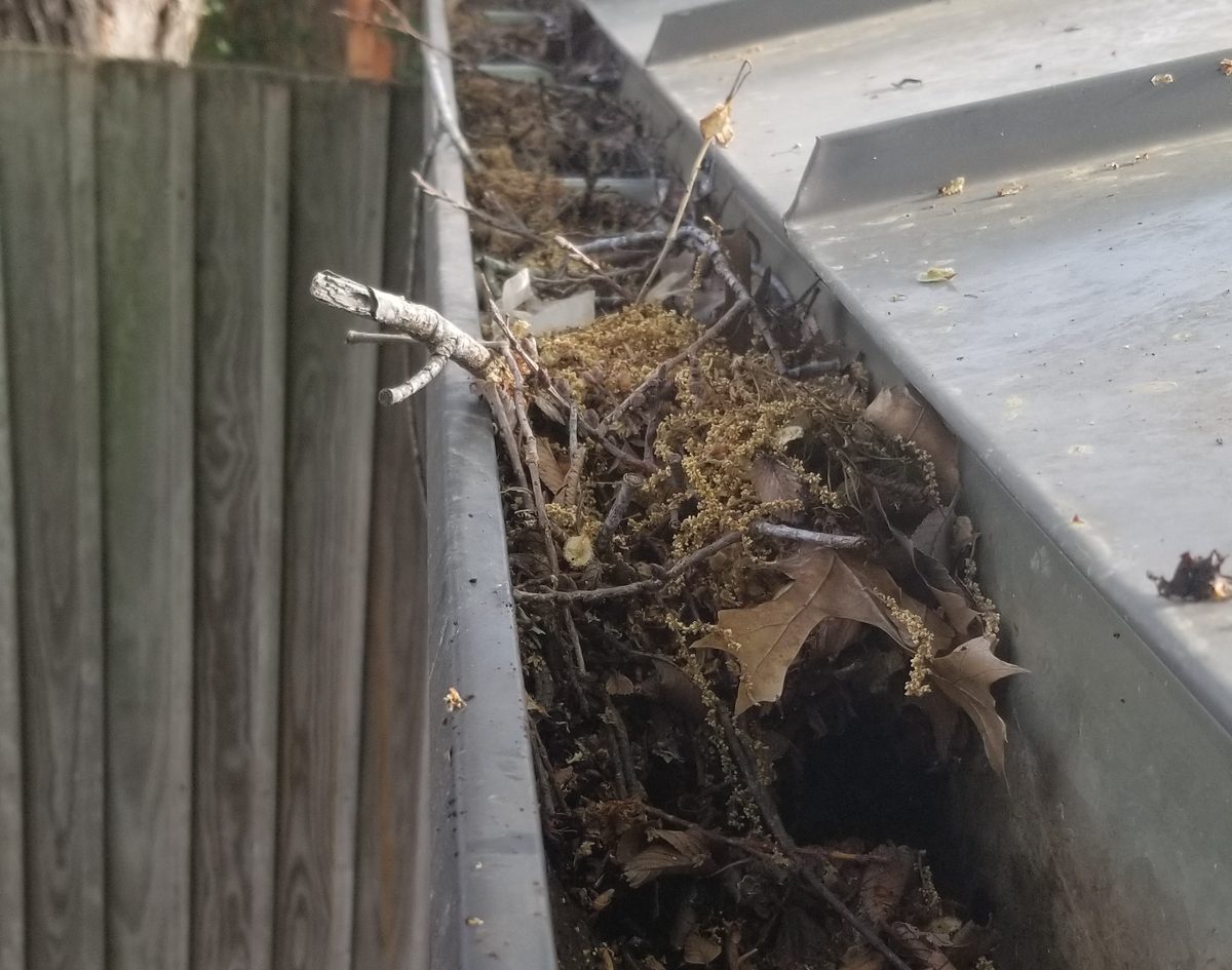 Debris built up in a gutter along a fence line