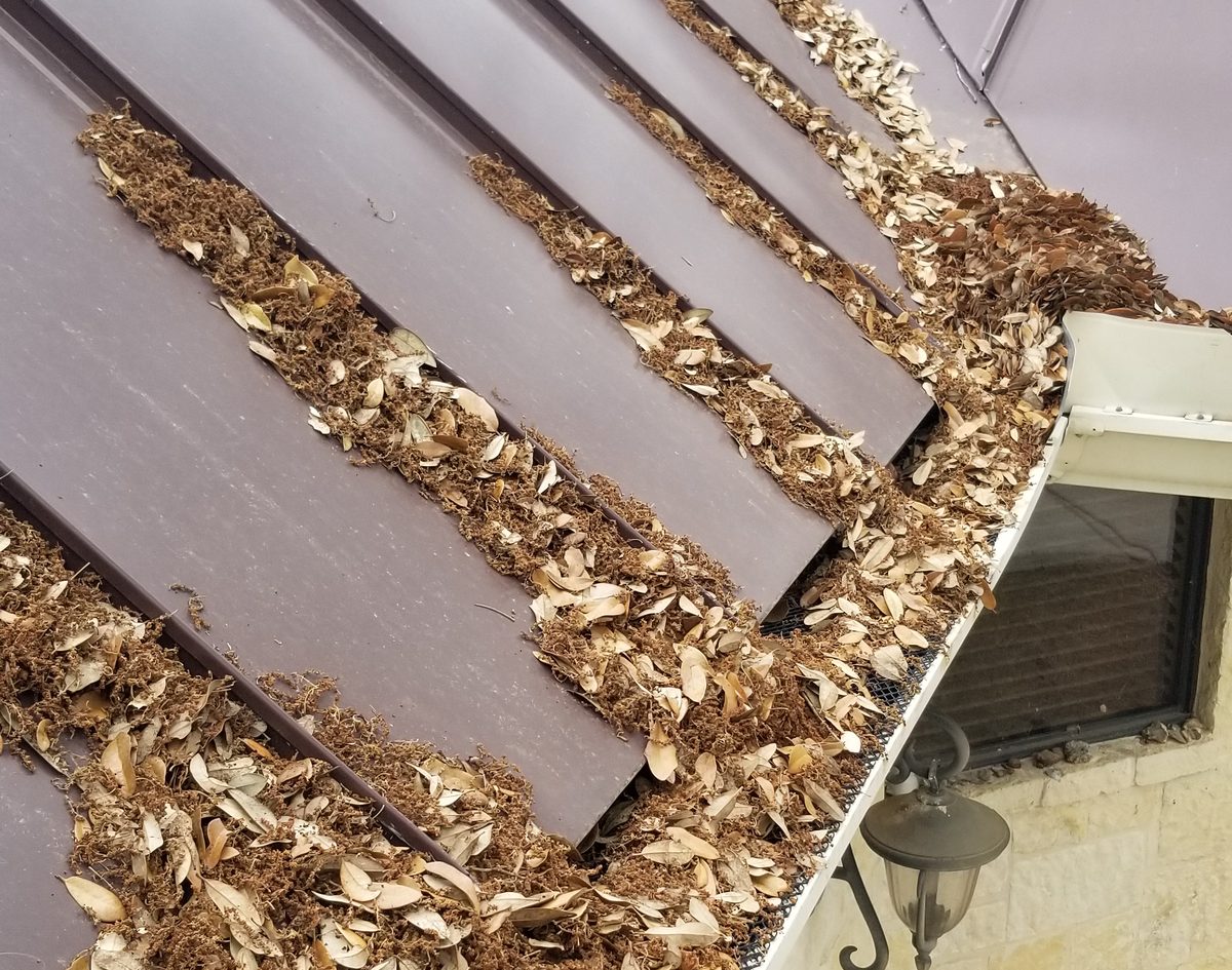 Leaves stacked in a metal roof valley and gutter