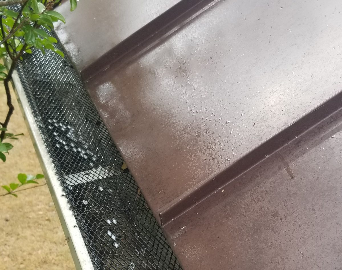 A gutter fitted with a mesh guard