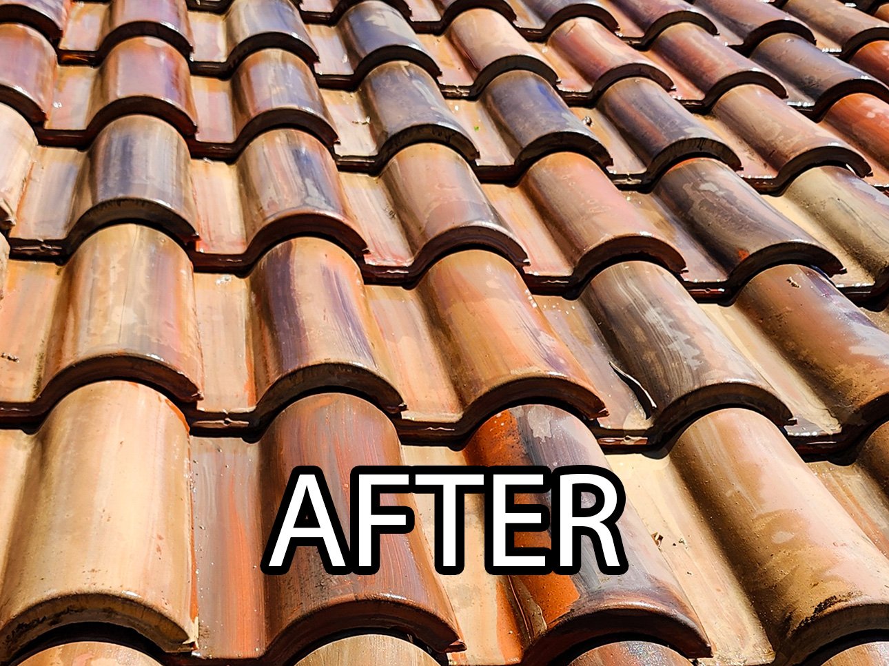 The tile roof after soft washing