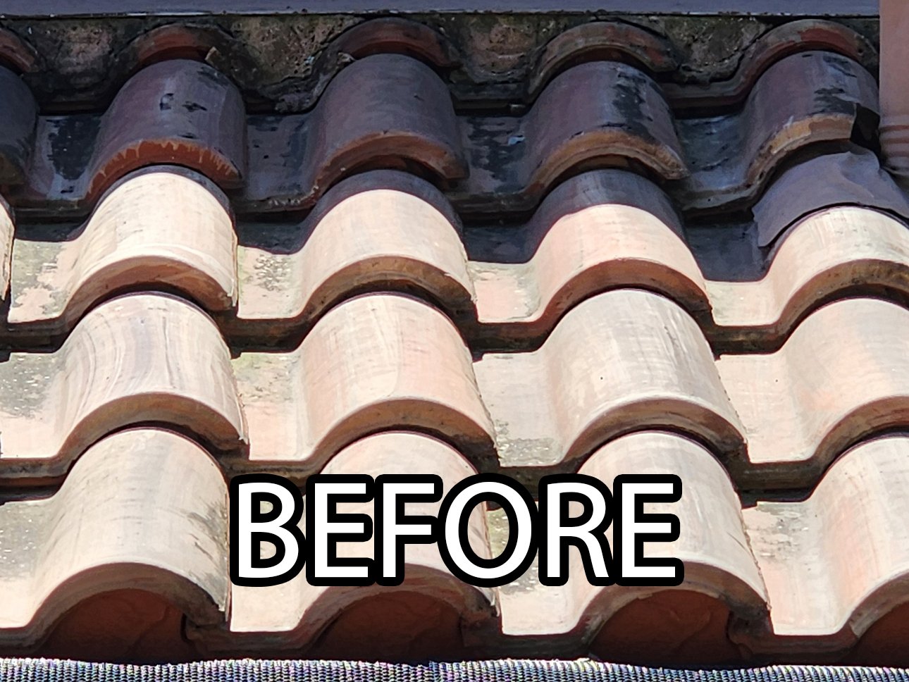 The same tile roof before soft washing